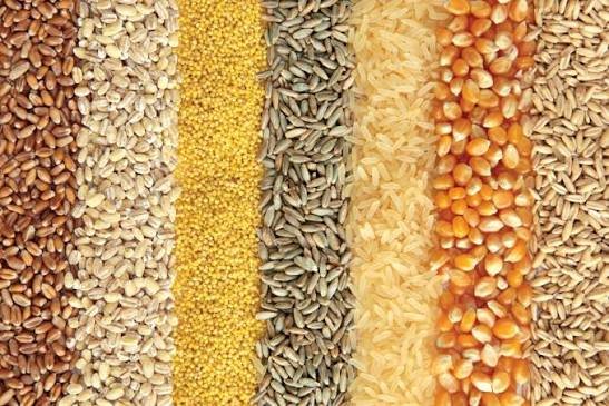 Assorted food grains — wheat, barley, rice and maize